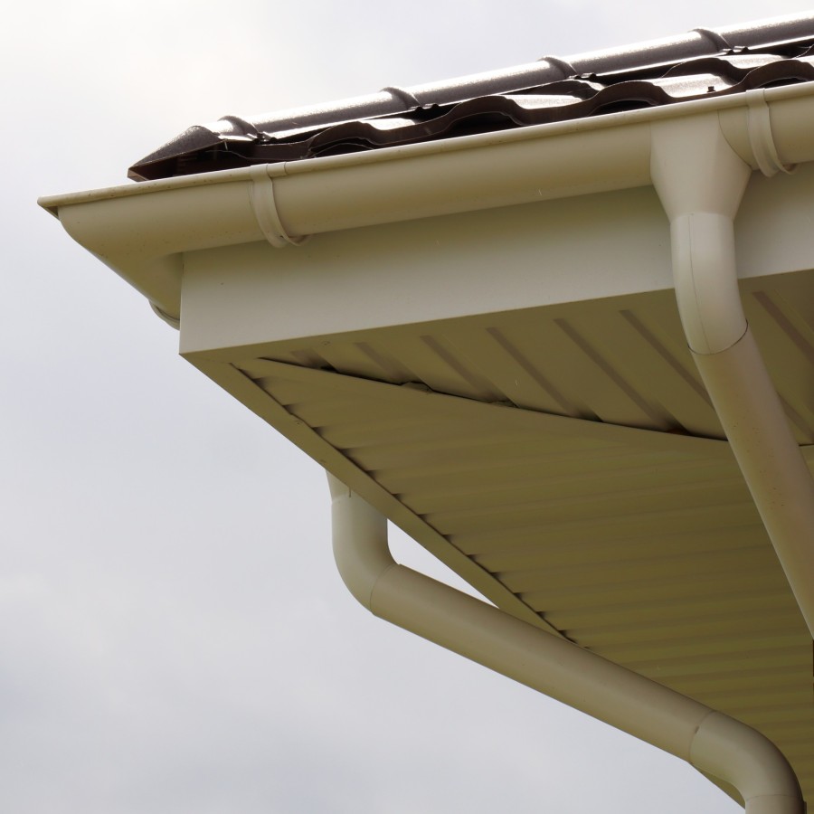 IMG_2269_1