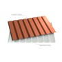 8004