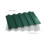 _RAL 6005 (1)